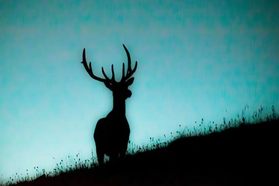 Elk silhouetted against a teal dusk sky